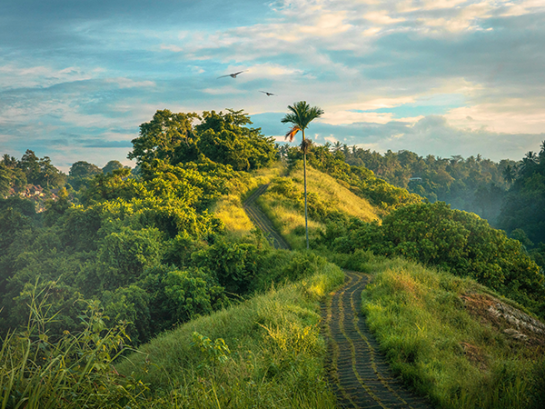 Tiêu đề bài viết tin tức của doanh nghiệp